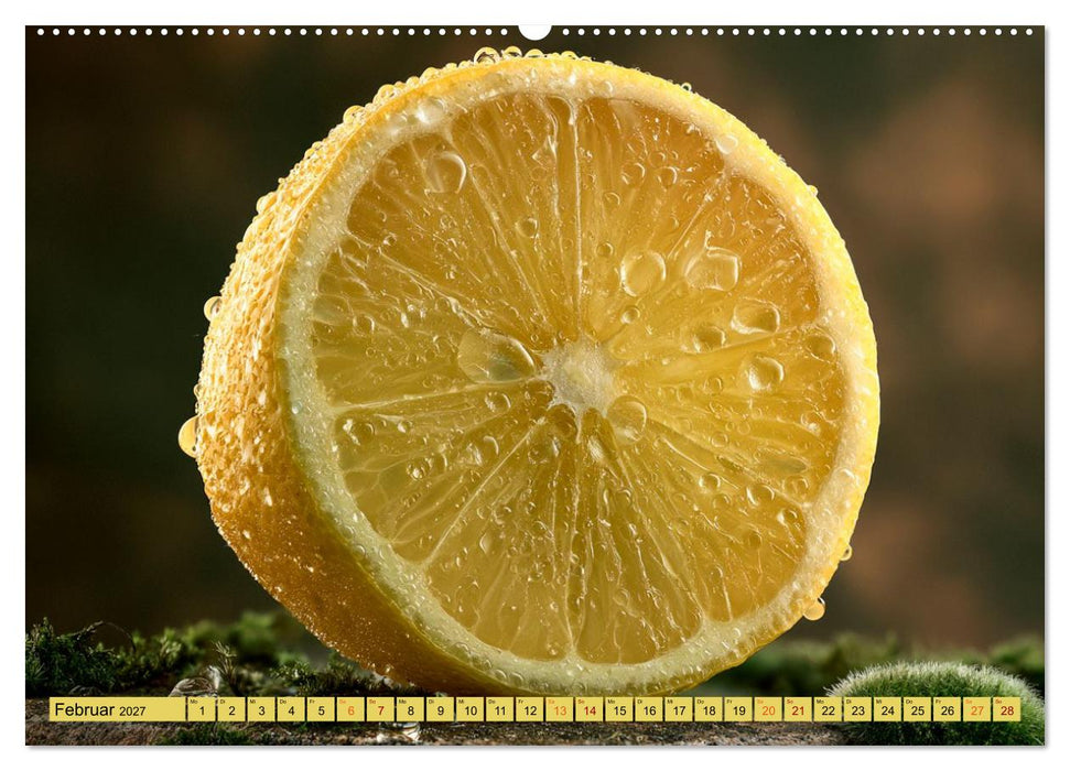 Fruchtbar schön! (CALVENDO Premium Wandkalender 2027)