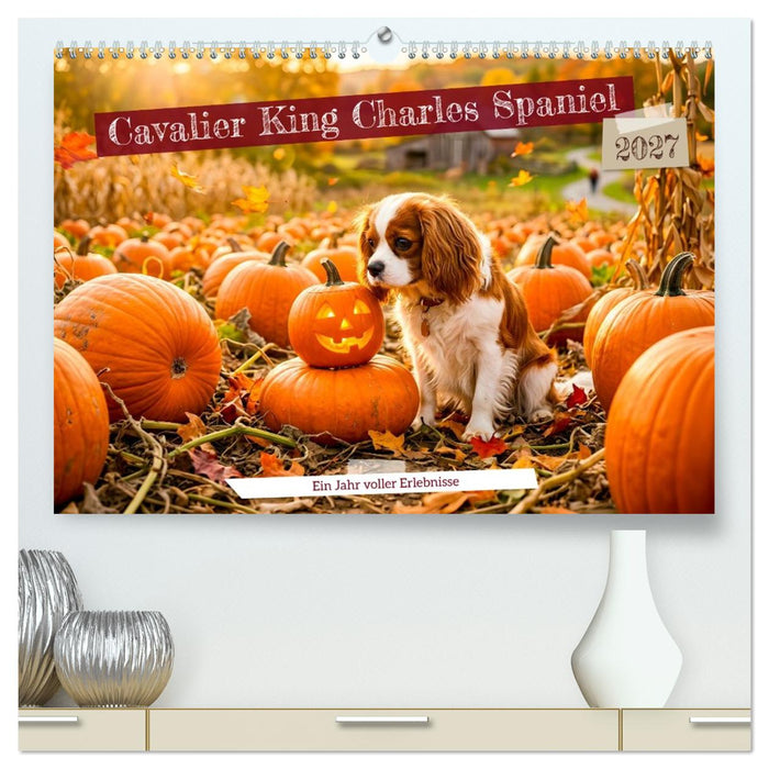 Cavalier King Charles Spaniel - Ein Jahr voller Erlebnisse (CALVENDO Premium Wandkalender 2027)