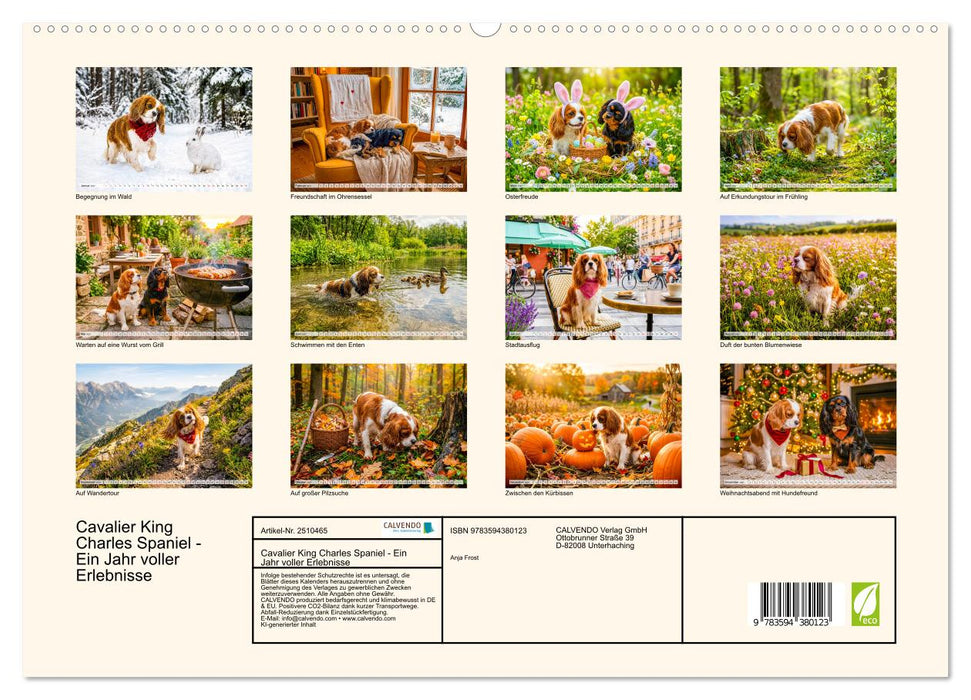 Cavalier King Charles Spaniel - Ein Jahr voller Erlebnisse (CALVENDO Premium Wandkalender 2027)