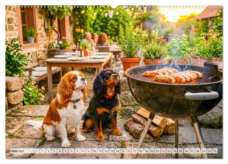 Cavalier King Charles Spaniel - Ein Jahr voller Erlebnisse (CALVENDO Premium Wandkalender 2027)