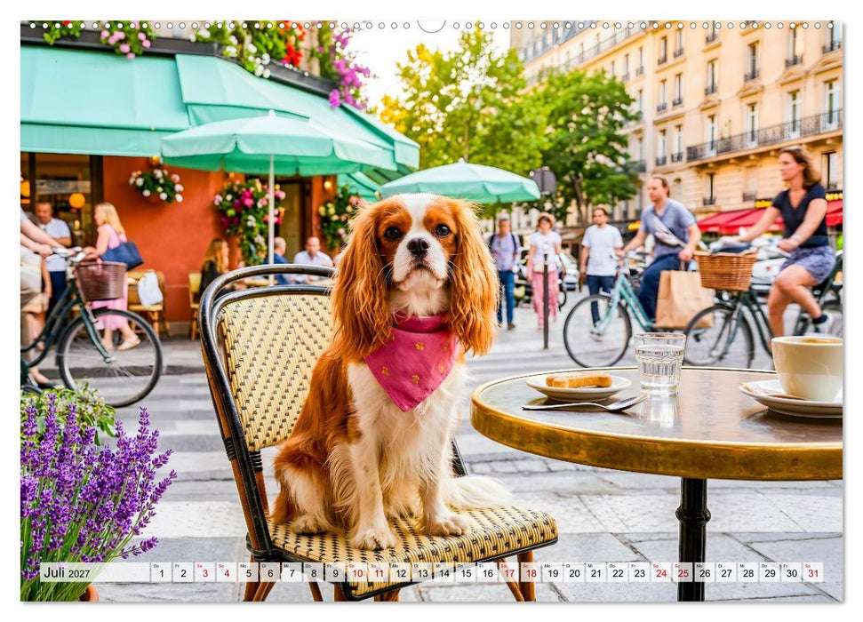 Cavalier King Charles Spaniel - Ein Jahr voller Erlebnisse (CALVENDO Premium Wandkalender 2027)
