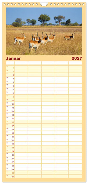 Afrika Wildlife-Fotografien (CALVENDO Familienplaner 2027)