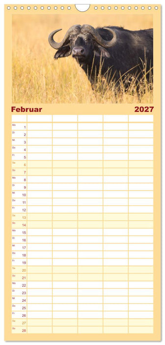 Afrika Wildlife-Fotografien (CALVENDO Familienplaner 2027)