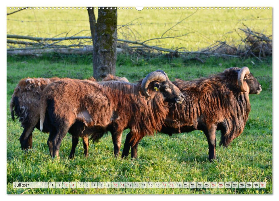 Urdenbach und die Kämpe (CALVENDO Premium Wandkalender 2027)