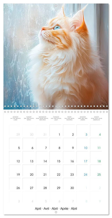 Dreamy Graceful Cats - Fantasy Style (CALVENDO Monthly Calendar 2027)