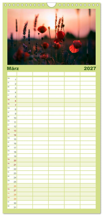 Mohnblütenmelodie (CALVENDO Familienplaner 2027)