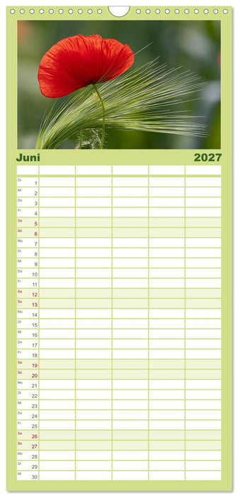 Mohnblütenmelodie (CALVENDO Familienplaner 2027)