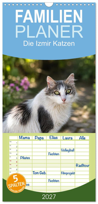 Die Izmir Katzen (CALVENDO Familienplaner 2027)