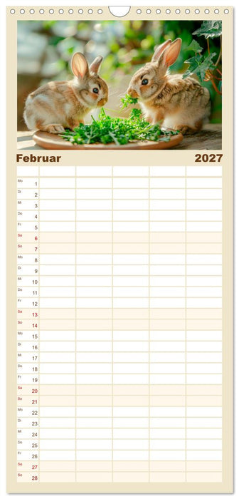 Süße Kaninchen - Flauschige Augenblicke (CALVENDO Familienplaner 2027)