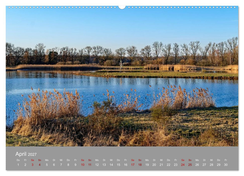 Naturerlebnis im Biosphärenreservat Drömling (CALVENDO Wandkalender 2027)