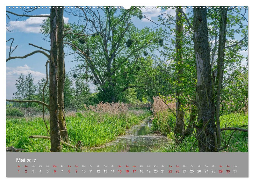 Naturerlebnis im Biosphärenreservat Drömling (CALVENDO Wandkalender 2027)