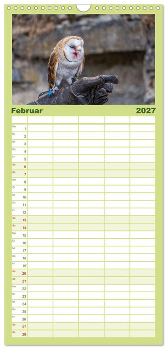 Greifvögel in Aktion - Dynamische Flugbilder und Porträts (CALVENDO Familienplaner 2027)