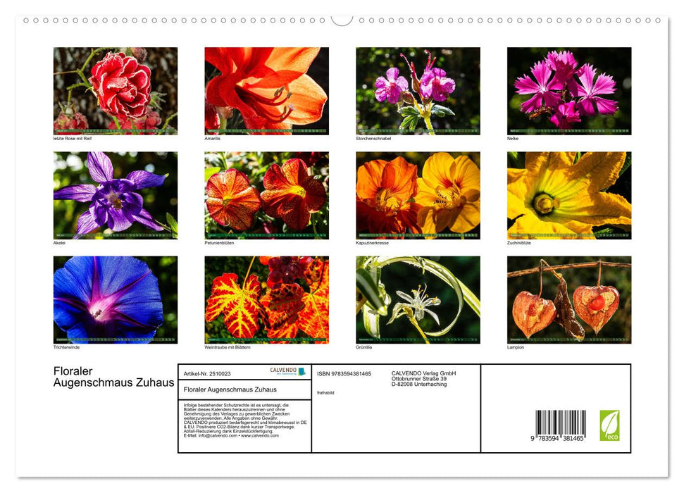 Floraler Augenschmaus Zuhaus (CALVENDO Premium Wandkalender 2027)