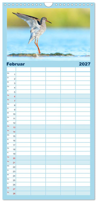 Limikolen - Watvögel aus Europa (CALVENDO Familienplaner 2027)
