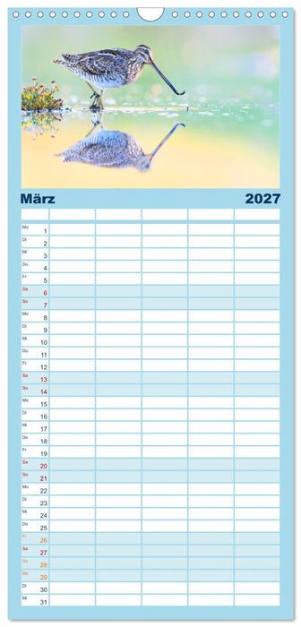 Limikolen - Watvögel aus Europa (CALVENDO Familienplaner 2027)