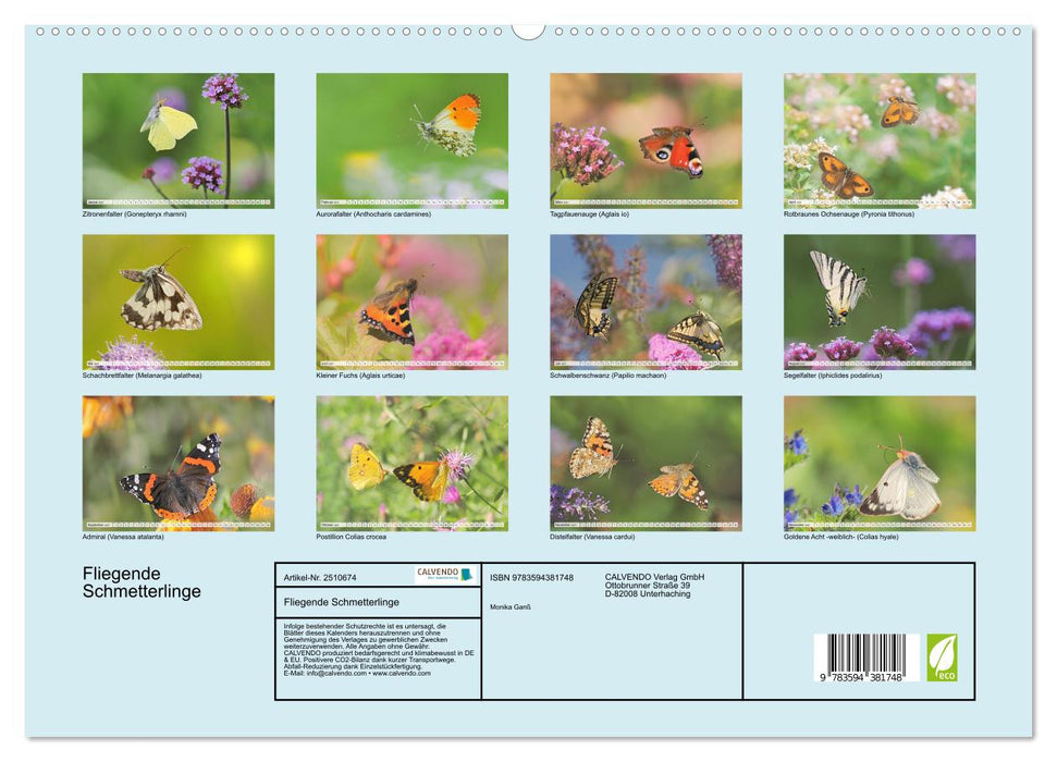 Fliegende Schmetterlinge (CALVENDO Premium Wandkalender 2027)
