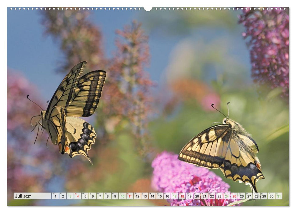 Fliegende Schmetterlinge (CALVENDO Premium Wandkalender 2027)