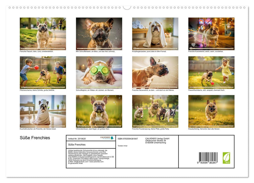 Süße Frenchies (CALVENDO Premium Wandkalender 2027)