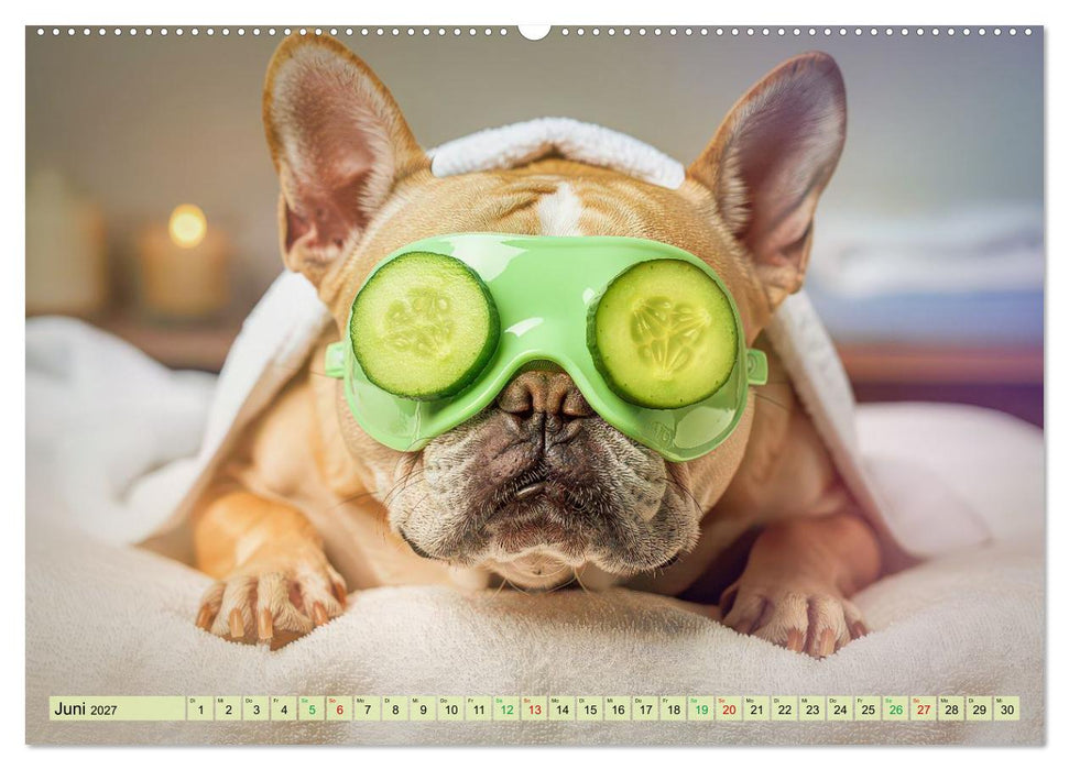 Süße Frenchies (CALVENDO Premium Wandkalender 2027)