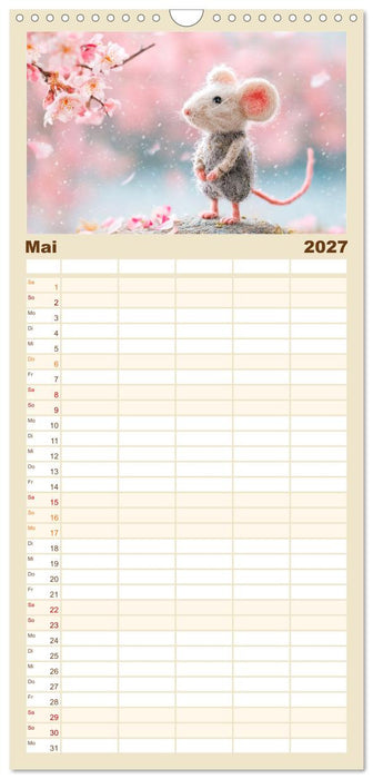 Kleine Seelen aus Wolle (CALVENDO Familienplaner 2027)