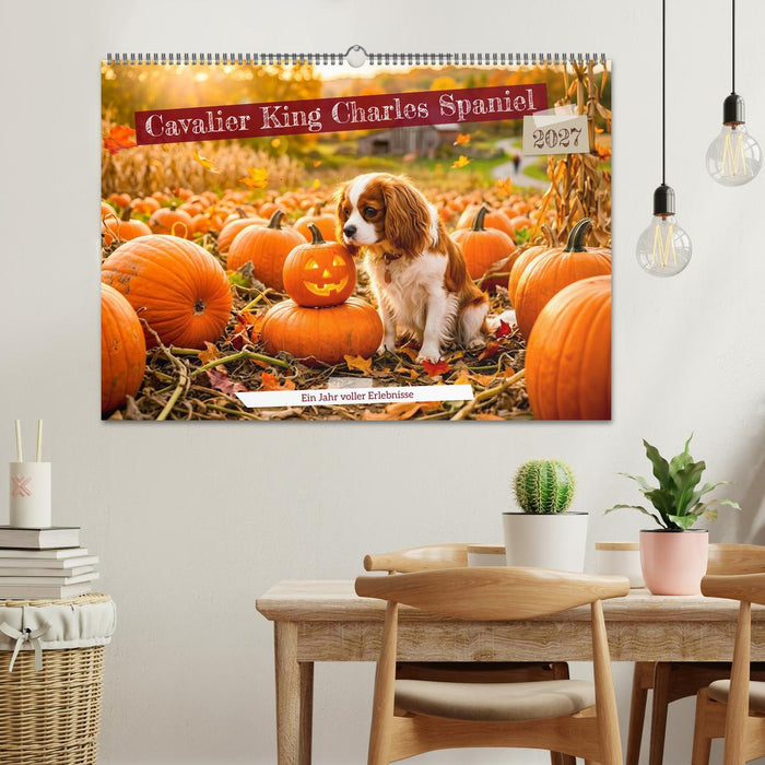 Cavalier King Charles Spaniel - Ein Jahr voller Erlebnisse (CALVENDO Wandkalender 2027)