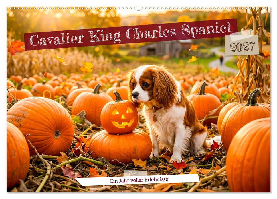 Cavalier King Charles Spaniel - Ein Jahr voller Erlebnisse (CALVENDO Wandkalender 2027)