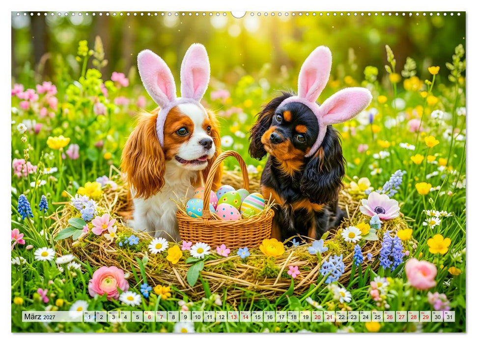 Cavalier King Charles Spaniel - Ein Jahr voller Erlebnisse (CALVENDO Wandkalender 2027)