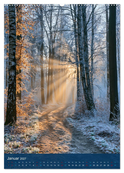 Sehnsuchtsort Wald (CALVENDO Premium Wandkalender 2027)