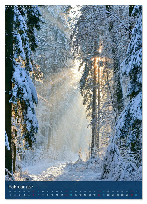 Sehnsuchtsort Wald (CALVENDO Premium Wandkalender 2027)