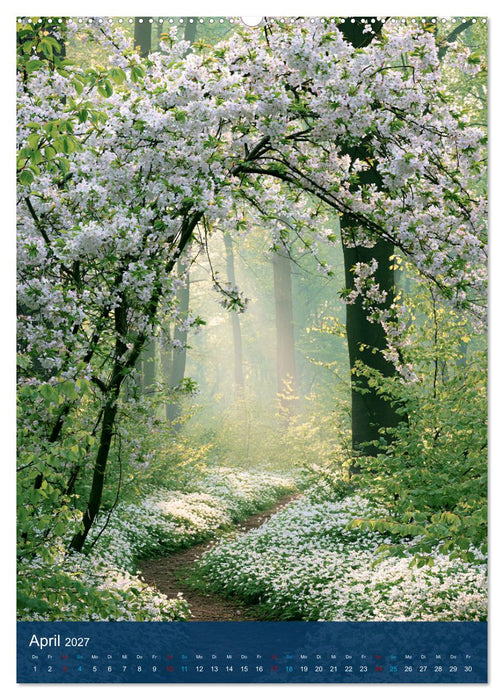 Sehnsuchtsort Wald (CALVENDO Premium Wandkalender 2027)