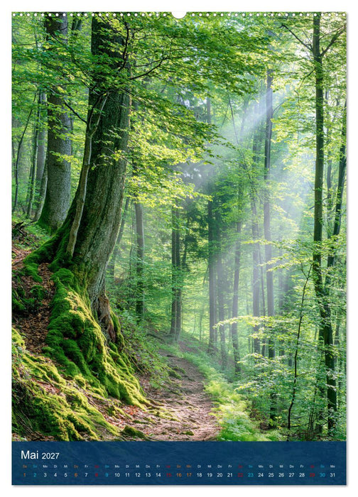 Sehnsuchtsort Wald (CALVENDO Premium Wandkalender 2027)