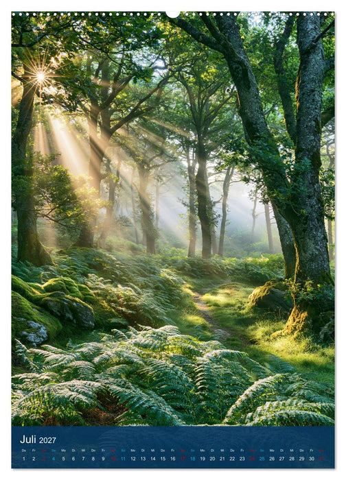Sehnsuchtsort Wald (CALVENDO Premium Wandkalender 2027)