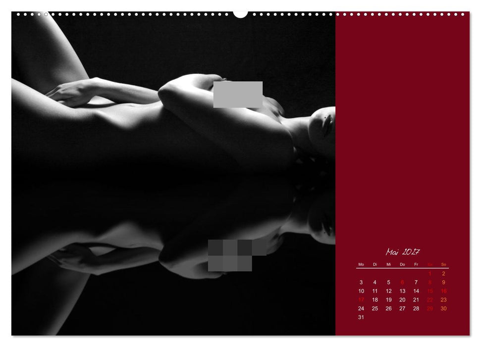 Schwarzweiß im Quadrat (CALVENDO Premium Wandkalender 2027)