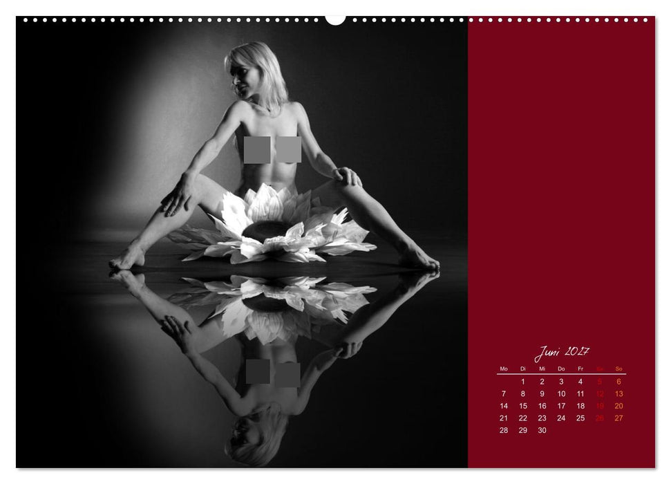 Schwarzweiß im Quadrat (CALVENDO Premium Wandkalender 2027)