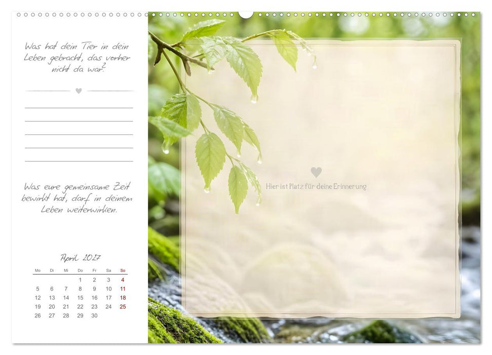 Mein Erinnerungsjahr - Zum Bewahren der Erinnerungen an mein geliebtes Tier (CALVENDO Wandkalender 2027)