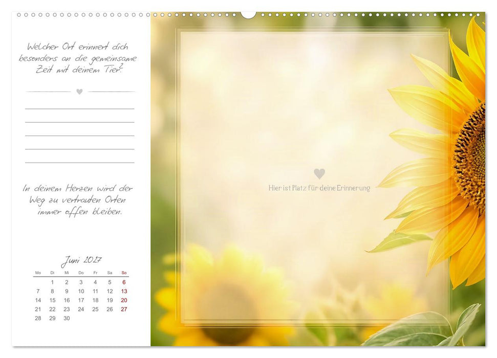 Mein Erinnerungsjahr - Zum Bewahren der Erinnerungen an mein geliebtes Tier (CALVENDO Wandkalender 2027)