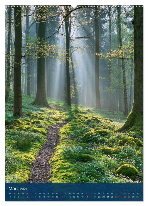 Sehnsuchtsort Wald (CALVENDO Wandkalender 2027)