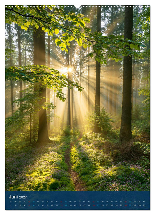 Sehnsuchtsort Wald (CALVENDO Wandkalender 2027)