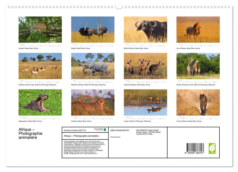 Afrique – Photographie animalière (CALVENDO Calendrier supérieur 2027)