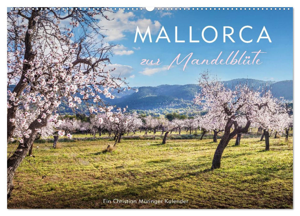 Mallorca zur Mandelblüte (CALVENDO Wandkalender 2027)