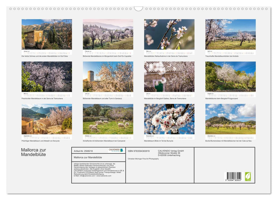 Mallorca zur Mandelblüte (CALVENDO Wandkalender 2027)
