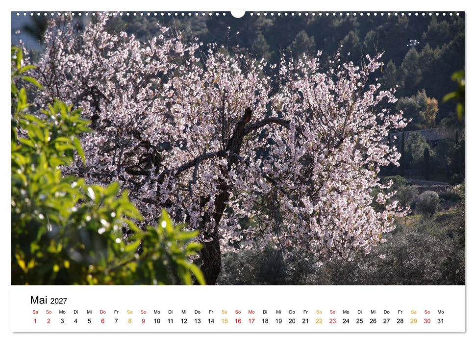 Mallorca zur Mandelblüte (CALVENDO Wandkalender 2027)
