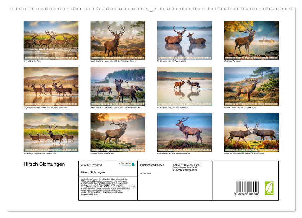 Hirsch Sichtungen (CALVENDO Premium Wandkalender 2027)