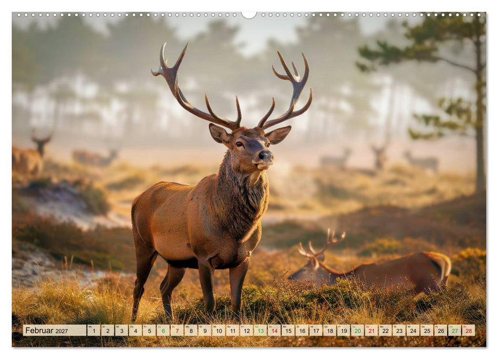Hirsch Sichtungen (CALVENDO Premium Wandkalender 2027)