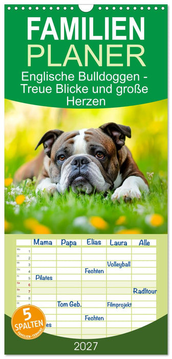 Englische Bulldoggen - Treue Blicke und große Herzen (CALVENDO Familienplaner 2027)