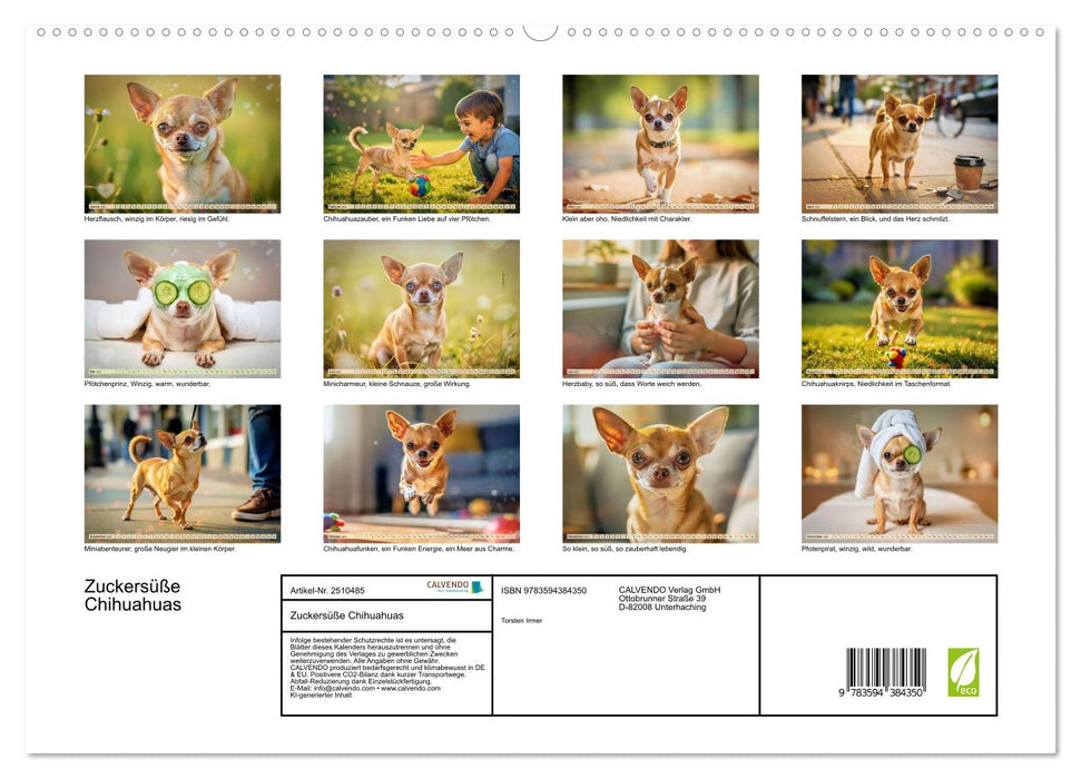 Zuckersüße Chihuahuas (CALVENDO Premium Wandkalender 2027)
