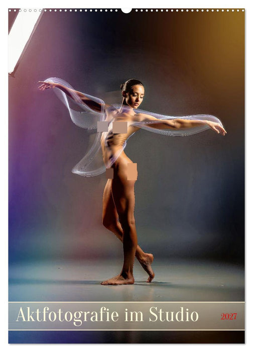 Aktfotografie im Studio (CALVENDO Wandkalender 2027)