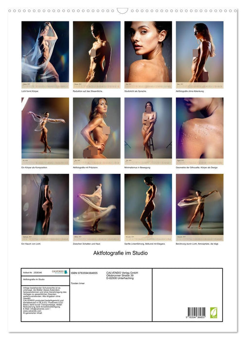 Aktfotografie im Studio (CALVENDO Wandkalender 2027)