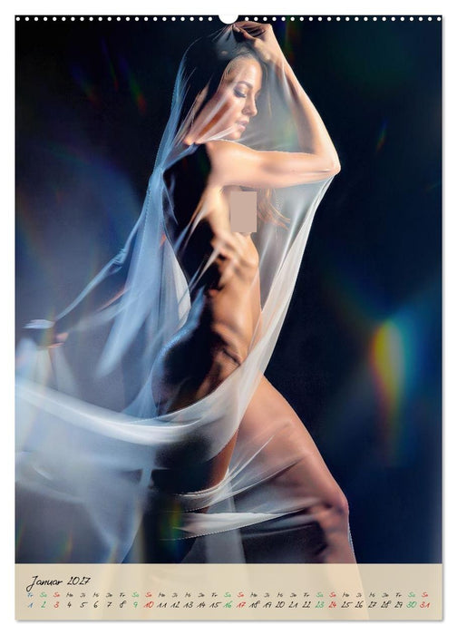 Aktfotografie im Studio (CALVENDO Wandkalender 2027)