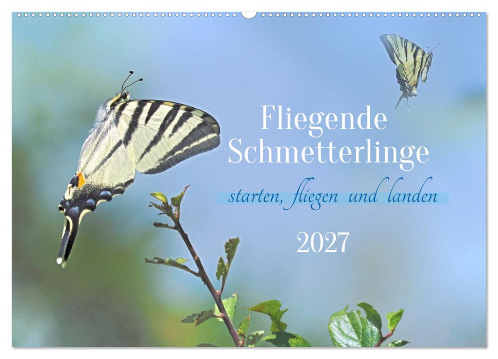Fliegende Schmetterlinge (CALVENDO Wandkalender 2027)